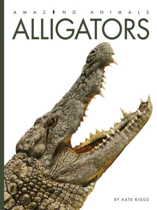 Title details for Alligators by Kate Riggs - Available